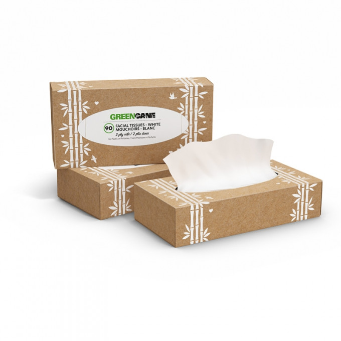 Facial Tissues, box of 90, 2ply soft and white